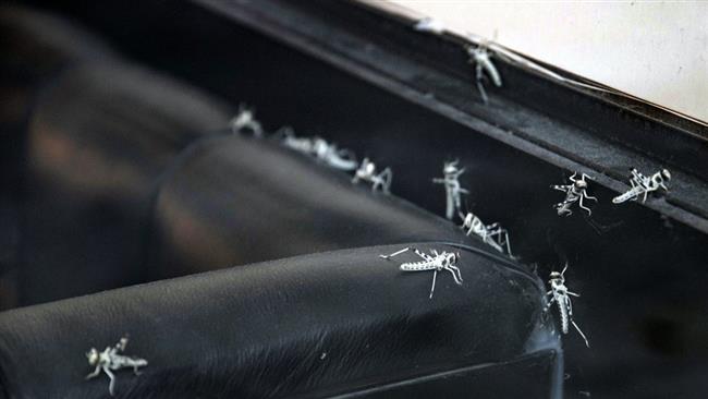 2cc189f7-5238-4321-98bb-ad6bc922a653