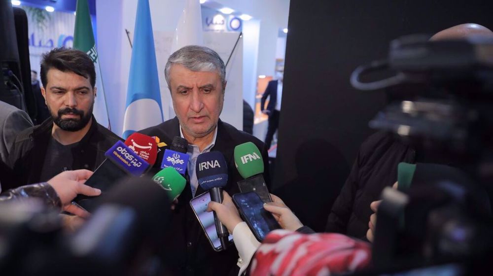 Iran’s nuclear chief urges Grossi to stick to his IAEA mandate after NPT jab