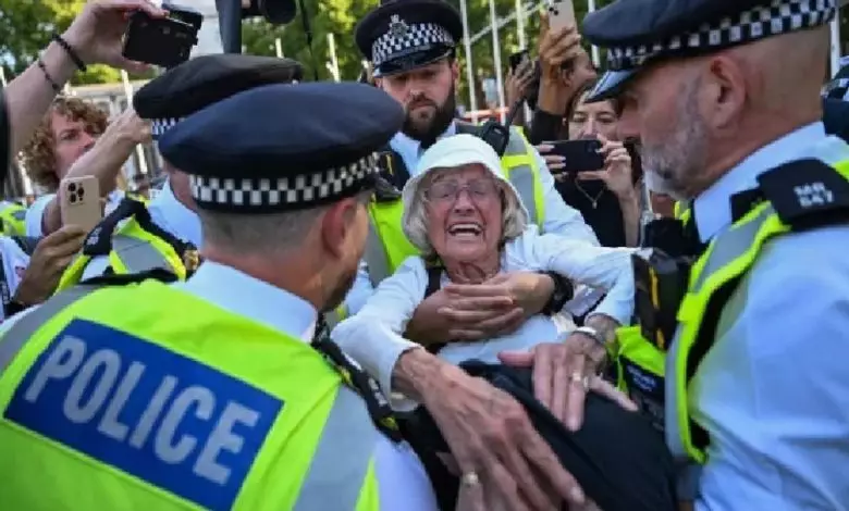 Palestine Action vindicated by British High Court ruling