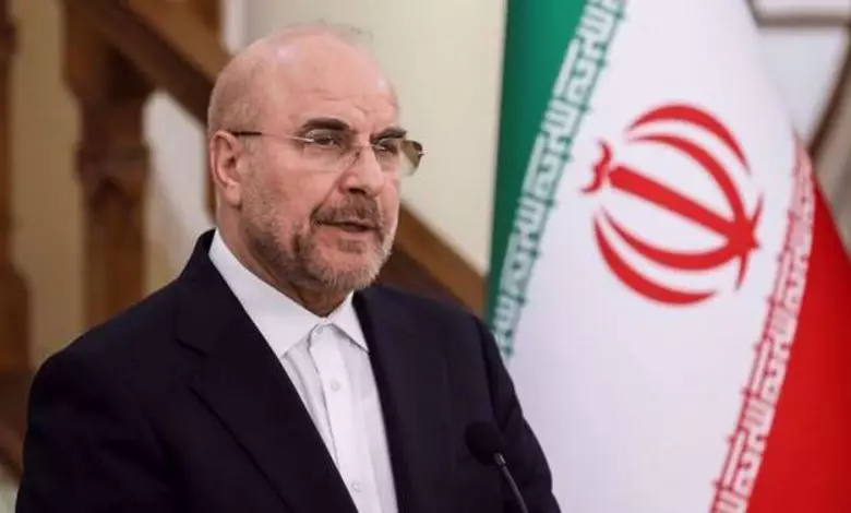 Iran Prioritizes Strengthening Relations with Muslim Neighbors, Says Parliament Speaker