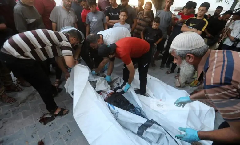 Health Ministry Reports: 7 Palestinians Dead, 23 Injured in Gaza within 24 Hours