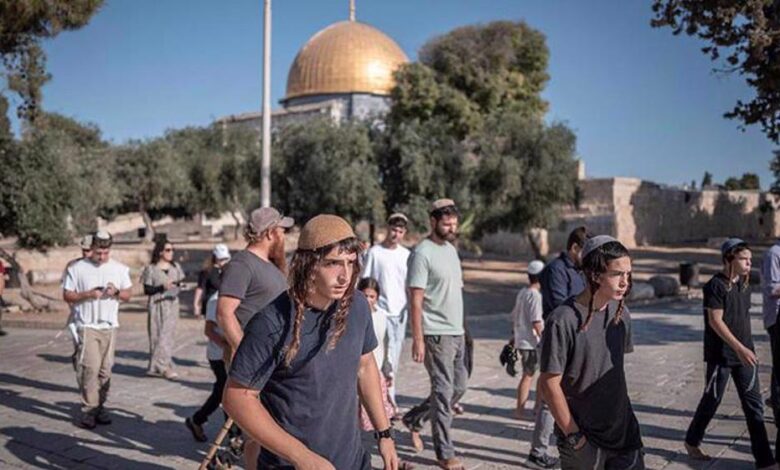 Zionist Forces Detain Eight Palestinians in Occupied West Bank Amid Settler Violence