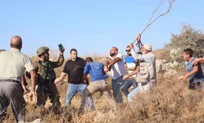 Terrorist ‘israeli’ invaders attack Palestinian homes and olive groves in occupied West Bank